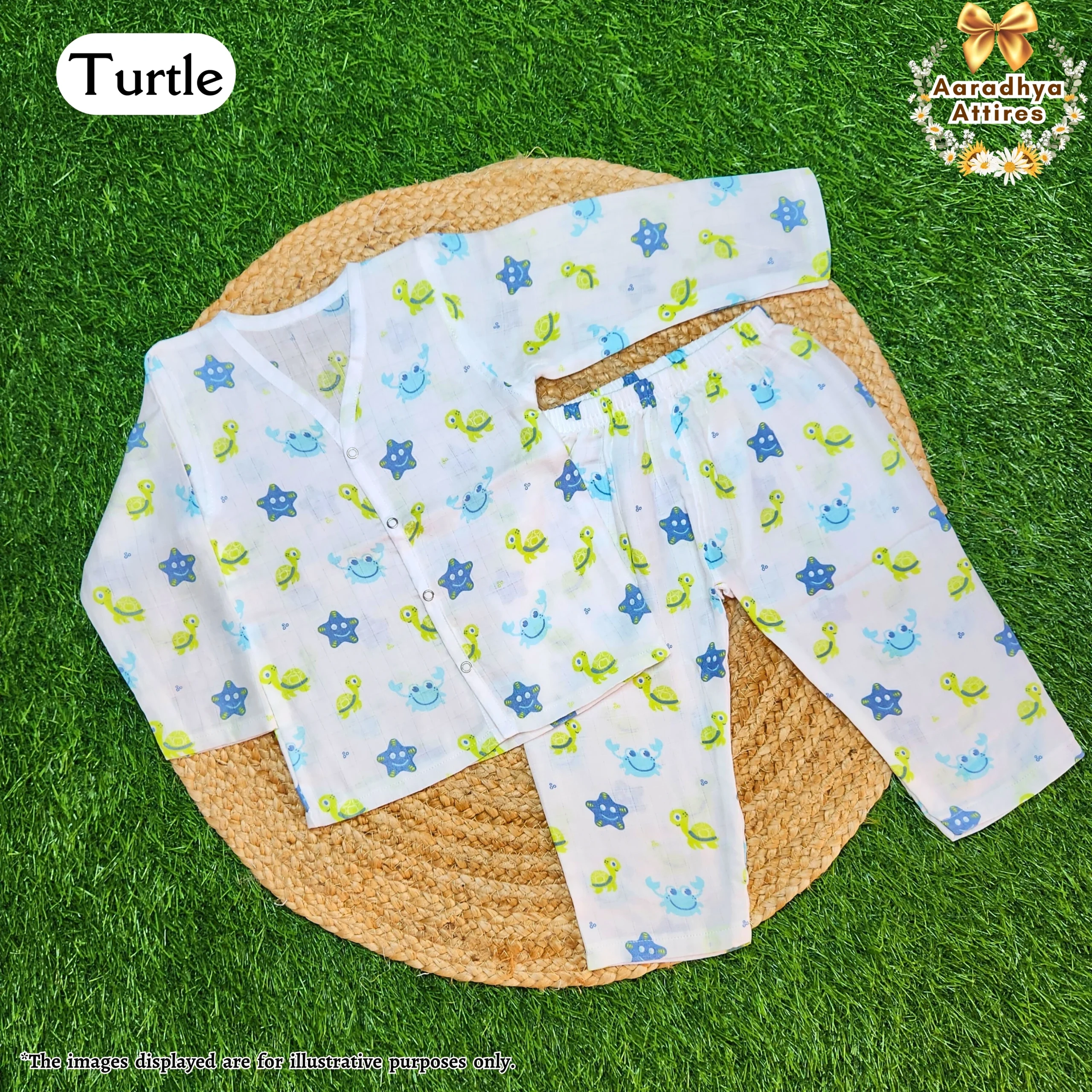Co-Ord Set F_P Turtle