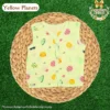 Button Jabla -  Yellow Planets - Newborn