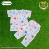 Flowers Half sleeve & Pant (1)